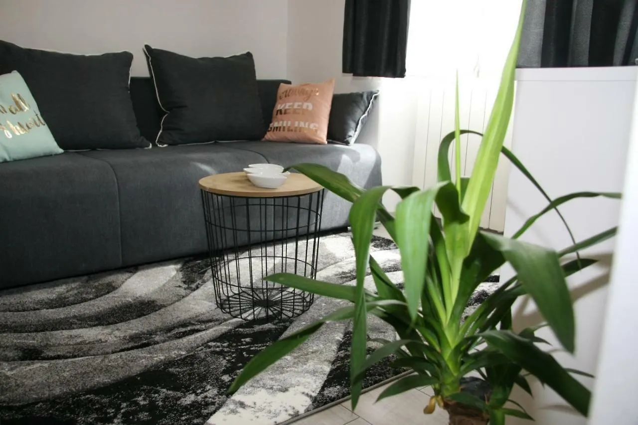Stylish Apartment In City Center 普拉